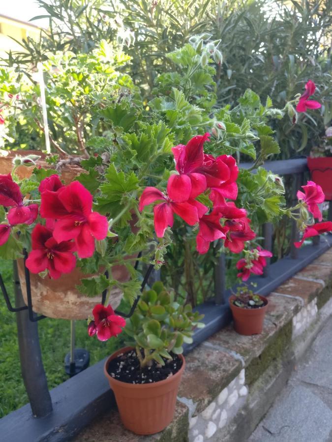 Caicai Bed And Breakfast Saluzzo Exterior photo